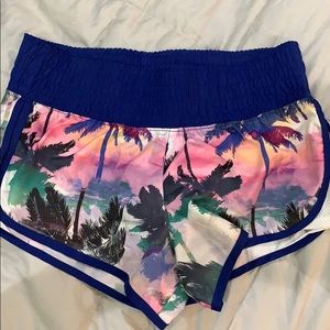 Palm tree warm up shorts